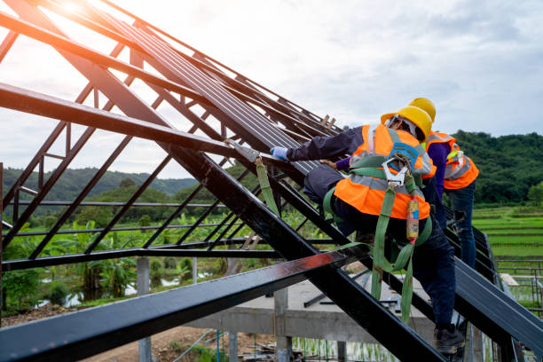 Roof Gutter Cleaning in Cando, ND